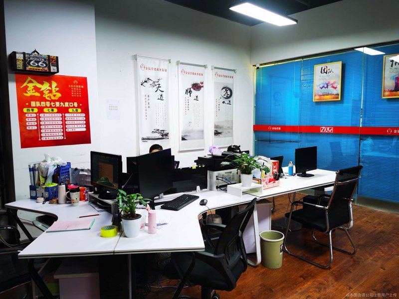 市场调研：洞察行业趋势，把握商机