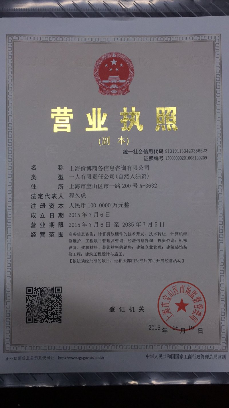 上海信息咨询:城市脉搏中的智能风向标